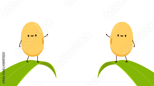 Soybean vector. Soybean character design.