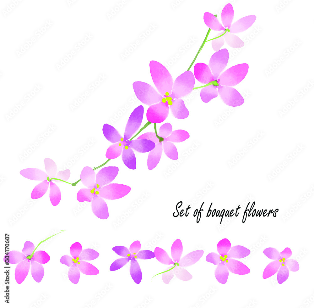 background with flowers and Isolate flowers 