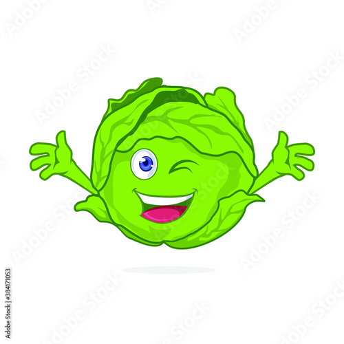 cabbage  vegetable mascot cartoon