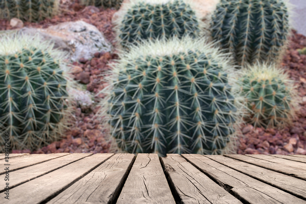 Fototapeta premium wooden table with space for your photo montage and cactus background
