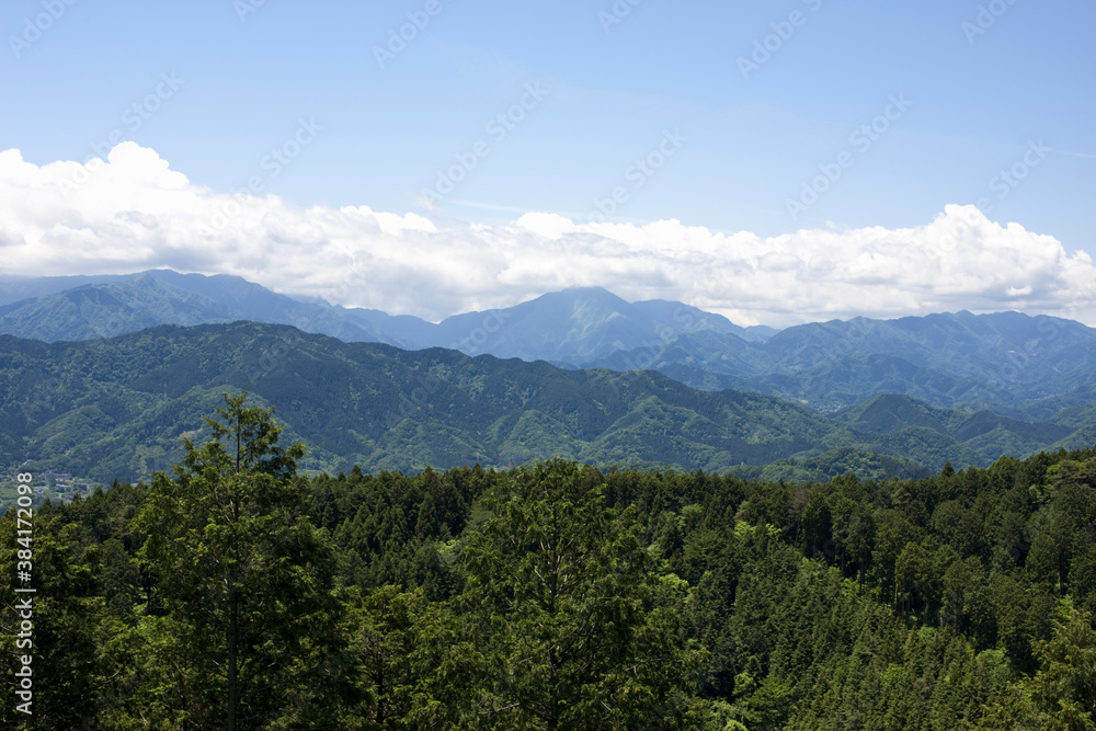 高尾山からの眺め