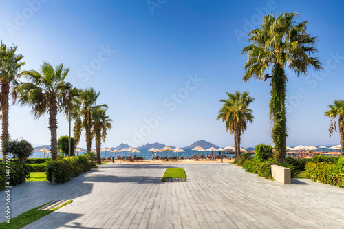 Palm trees in beautiful beach with sun umbrellas and Aegean sea in Turgutreis, Bodrum, Turkey 