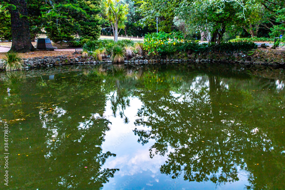 Obraz premium One of the ponds in the park. Auckland Domain, Auckland New Zealand