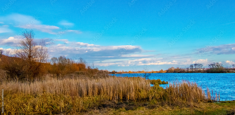 Spring landscape with river, reeds and blue sky