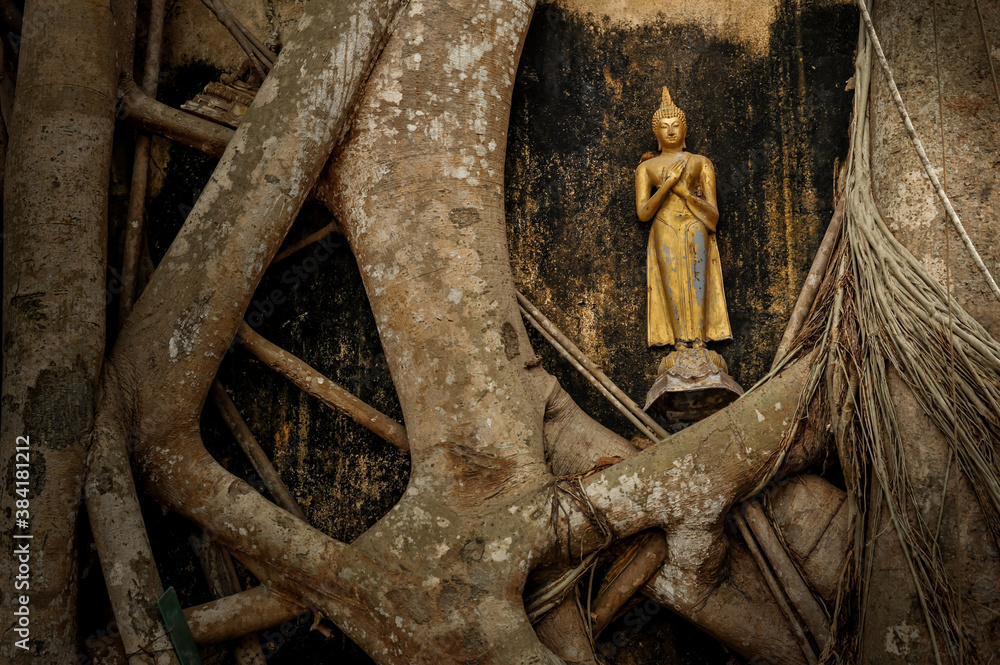 The Buddha statue between Bodhi root tree at Wat Bang Kung temple in Samut Songkhram province,Thailand The Buddha statue between Bodhi root tree at Wat Bang Kung temple in Samut Songkhram province,Thailand