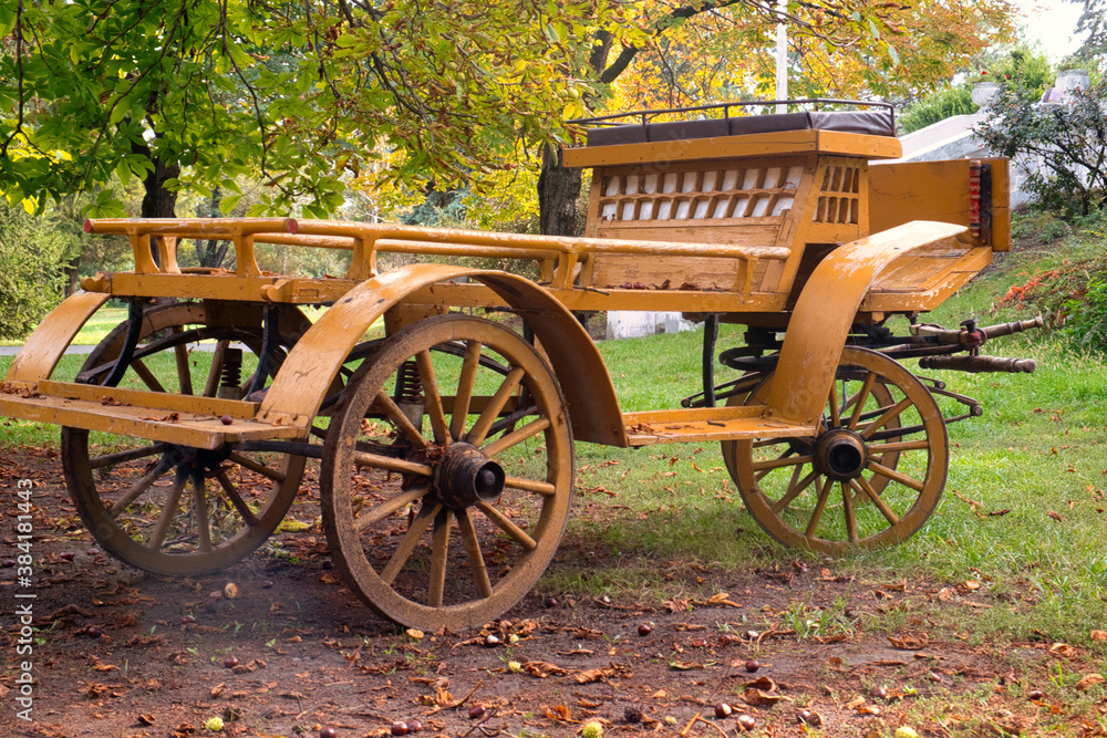 Wooden old cart - fijaker - under the chestnut tree in the autumn garden of an old castle in Vojvodina, Serbia