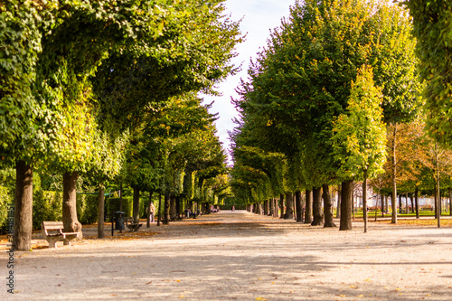 Photography Avenue in Augarten Park in Vienna (Austria) on a nice sunny autumn day