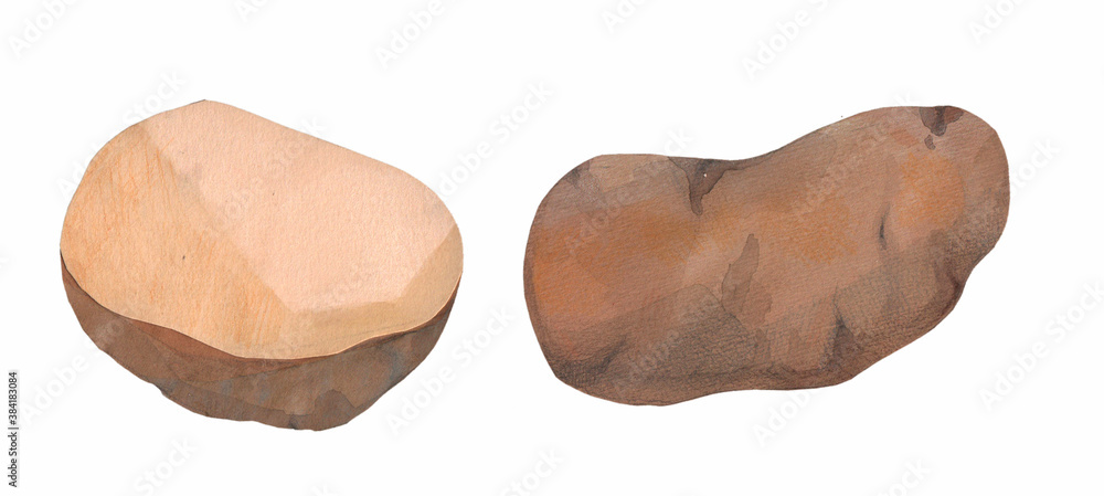 crayon and watercolor illustration of a potato crayon and watercolor illustration of a potato