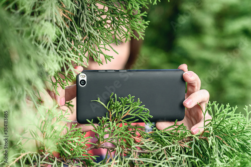 A paparazzi girl hand with a black mobile phone camera taking picture hiding through green fir tree branches in the forest. Concept