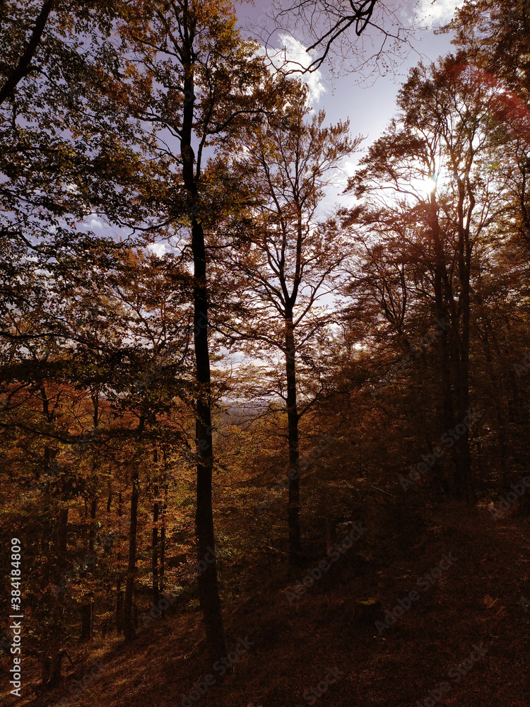 rayo de luz atravesando el otoño en la montaña