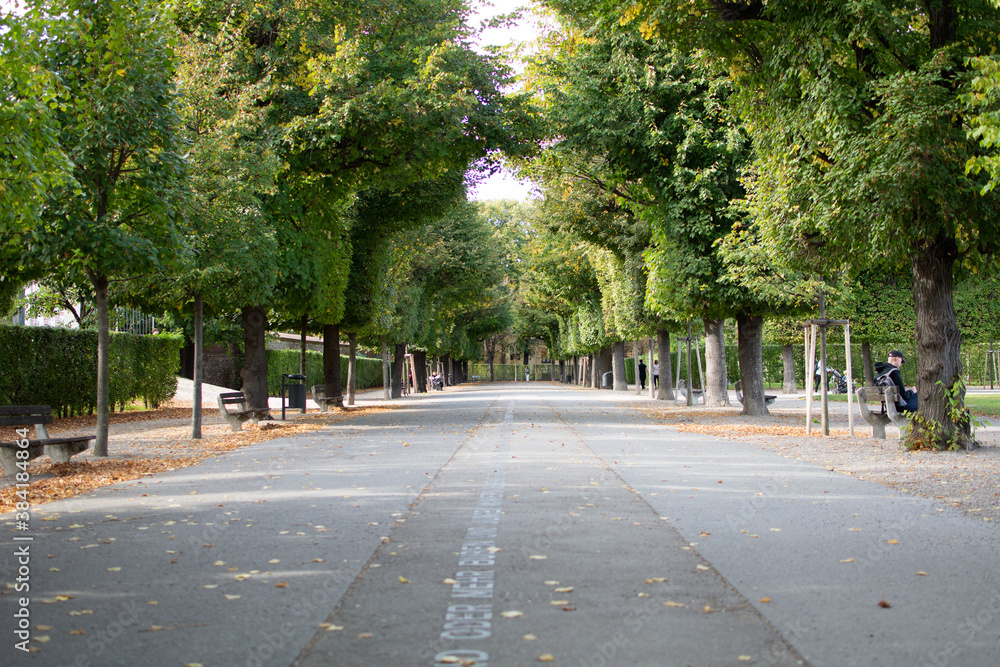 Avenue in Augarten Park in Vienna (Austria) on a nice sunny autumn day
