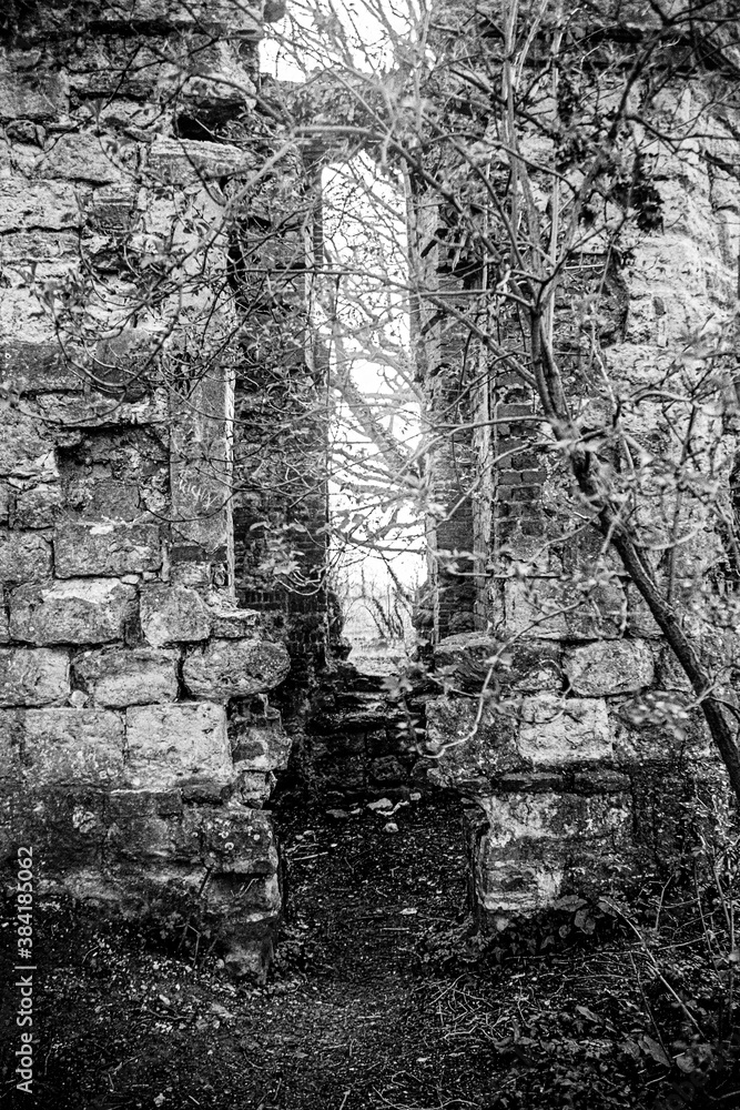 Fototapeta premium Old Castle Ruins in an English woodland