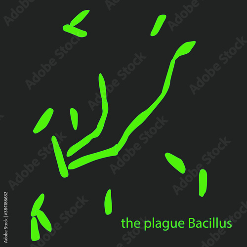 plague Bacillus under a microscope, plague, viruses and bacteria isolated on a black background. Bacillus Anthracis, pathogen. Rod-shaped, gram-positive bacteria. Microbiology. photo