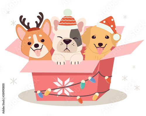 The character of cute dog and friends sitting in the gift box with flat vector style. illustation for christmas , birthday party.