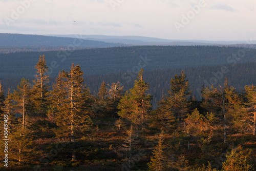 Beautiful autumnal morning in Riisitunturi National Park, Northern Finland. 
