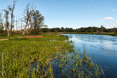River Gudenaa at Fall