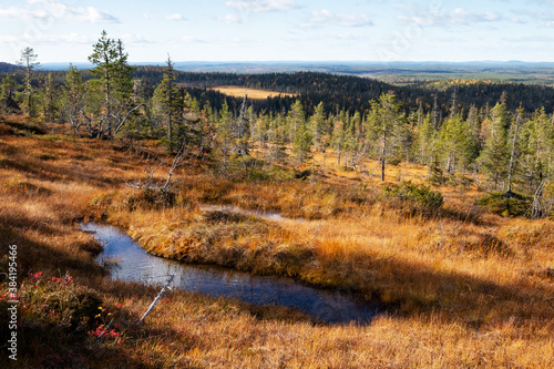 An aerial of famous hanging bogs in autumnal Riisitunturi National Park in the middle of taiga forests of Norhern Finland.