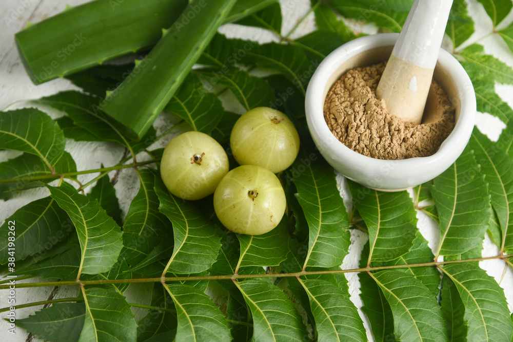 Ayurvedic herbs neem leaves , amla berry , amla powder , aloe vera for