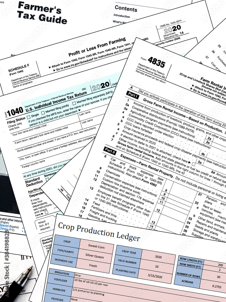 Obraz premium 015-tax_forms-studio-22aug20-09x12-209-400-5555