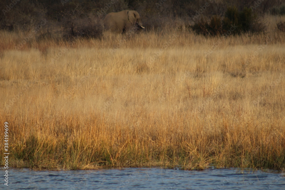 Photo Taken in Pilanesberg National Park. Photo Taken in Pilanesberg National Park.