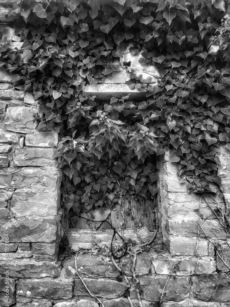 Fototapeta premium old wall with window