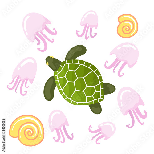 set of marine life. turtle, shells and lot of pink jellyfish.