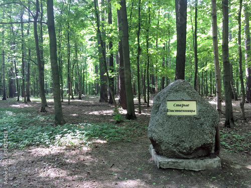 Photography Russia, Moscow / may, 2019: stone-pointer with the inscription Old larch in Iz