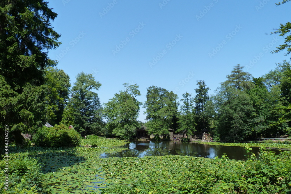 See bzw. Teich im Wildpark Englischer Garten Eulbach bei Michelstadt