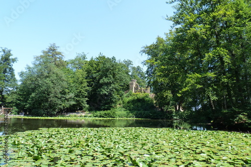 See bzw. Teich im Wildpark Englischer Garten Eulbach bei Michelstadt und Vielbrunn im Odenwald © Falko Göthel