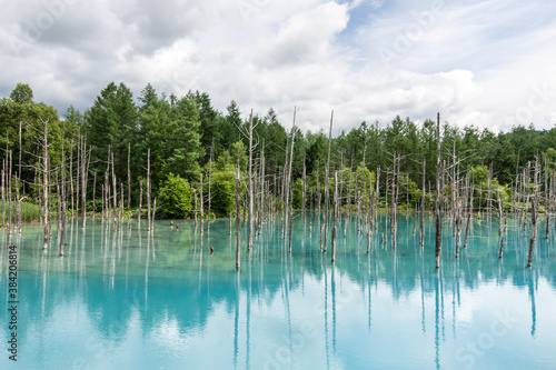Blue Pond (Biei), Japan
