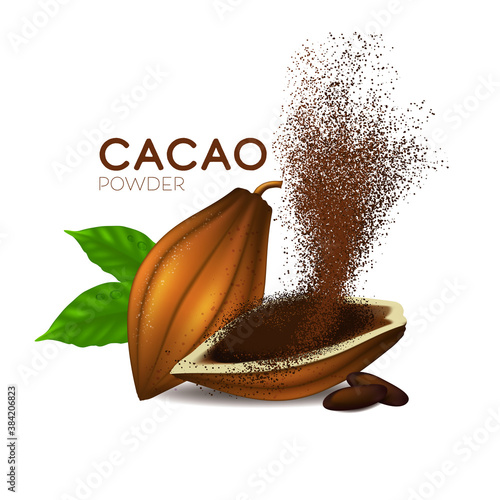 realistic cacao beans with green leaves vector illustration
