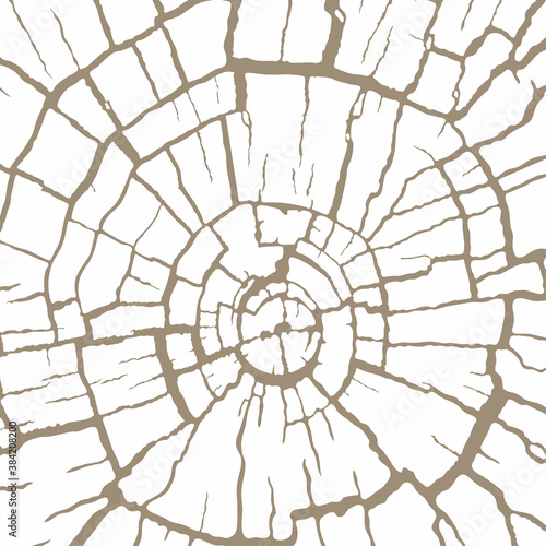 Cracked wood texture, wooden cut of a tree log. Pattern of cracks on an old stump. Vector background