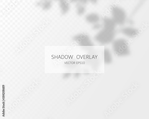 Shadow overlay effect. Natural shadows isolated on transparent background. Vector illustration. 