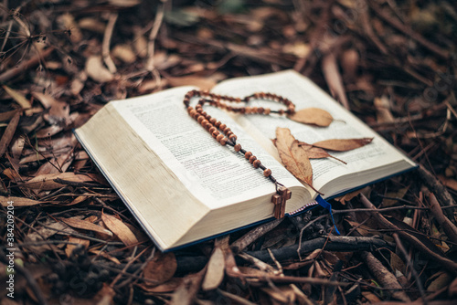 Autumn style and mood. reading books and praying during autumn. colors and beauty of autumn. land covered with autumn leaves and tree cones