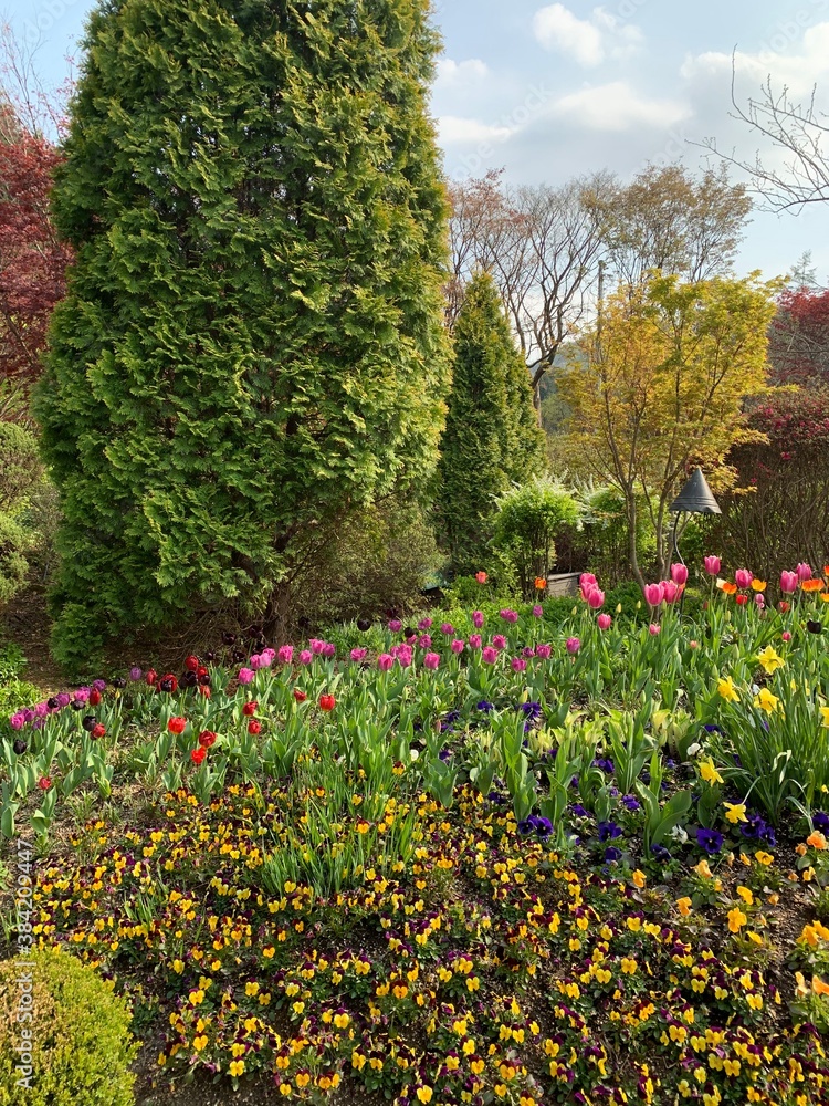 Obraz premium natural scenery