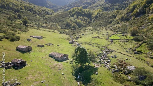 Circular Aerial Cow Livestock Valley in Trekking Route. Green grass and Healthy Environment. Asturias, Spain.