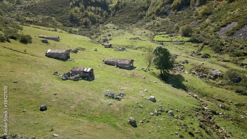 Aerial Cow Livestock Valley in Trekking Route. Green grass and Healthy Environment. Asturias, Spain.
