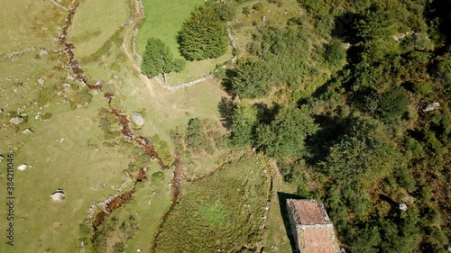 Reveal Aerial Cow Livestock Valley in Trekking Route. Green grass and Healthy Environment. Asturias, Spain.