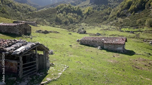 Close Up Aerial Cow Livestock Valley in Trekking Route. Green Grass and Healthy Environment. Asturias, Spain.