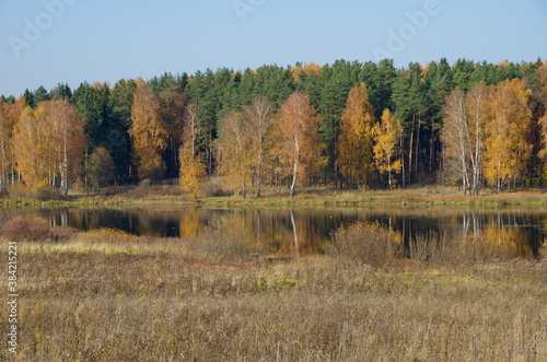 Autumn water landscape on a Sunny day