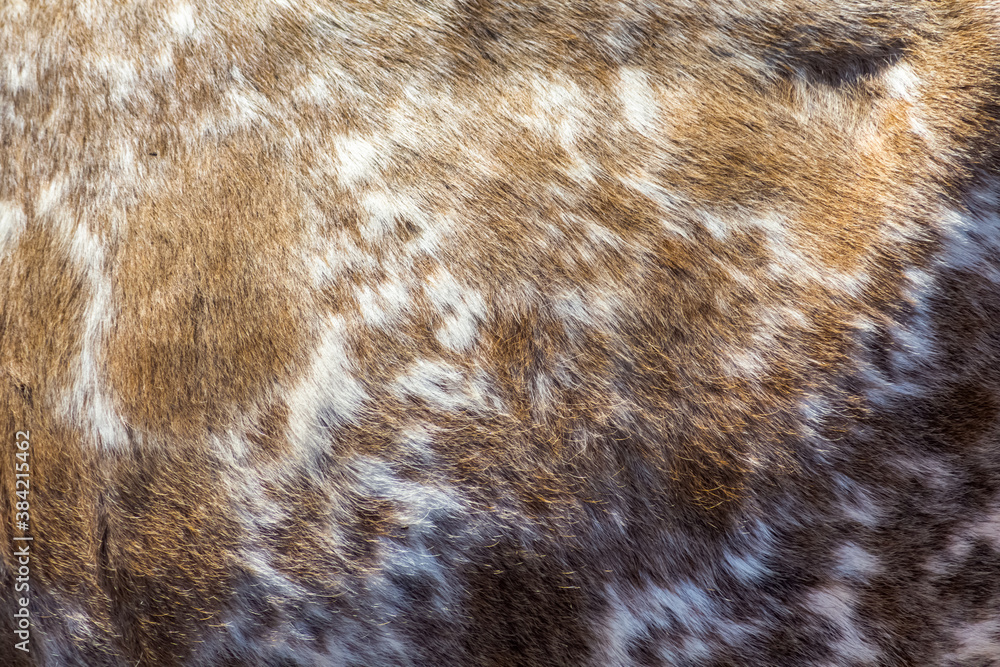 Peau de vache Peau de vache