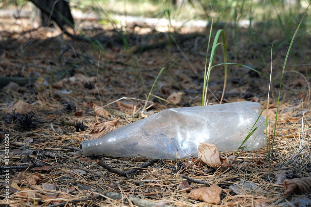 Plastic bottle in the forest, problems of plastic garbage, ecological issues Plastic bottle in the forest, problems of plastic garbage, ecological issues
