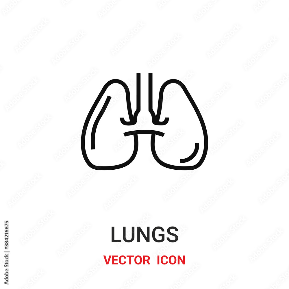 Lung vector icon. Modern, simple flat vector illustration for website or mobile app.X-ray and roentgen symbol, logo illustration. Pixel perfect vector graphics Lung vector icon. Modern, simple flat vector illustration for website or mobile app.X-ray and roentgen symbol, logo illustration. Pixel perfect vector graphics