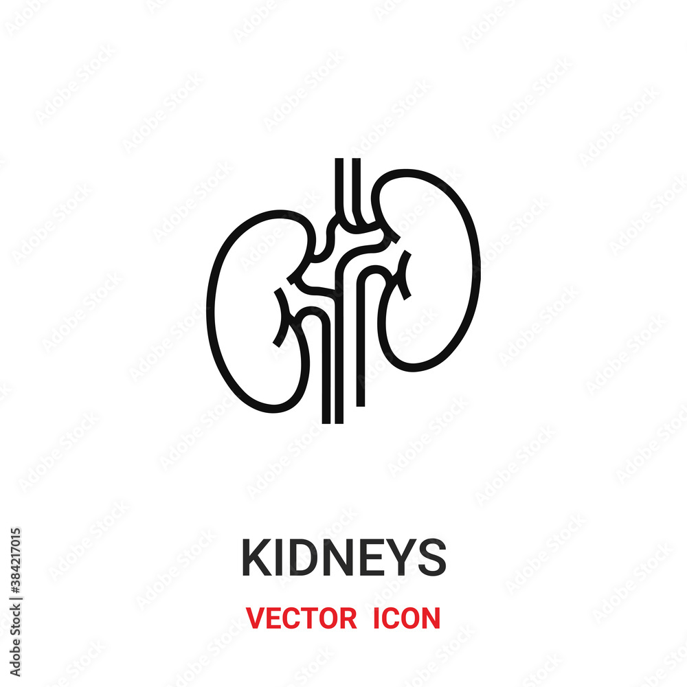 kidneys icon vector symbol. kidneys symbol icon vector for your design. Modern outline icon for your website and mobile app design. kidneys icon vector symbol. kidneys symbol icon vector for your design. Modern outline icon for your website and mobile app design.