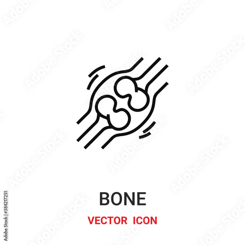 bone icon vector symbol. bone symbol icon vector for your design. Modern outline icon for your website and mobile app design.
