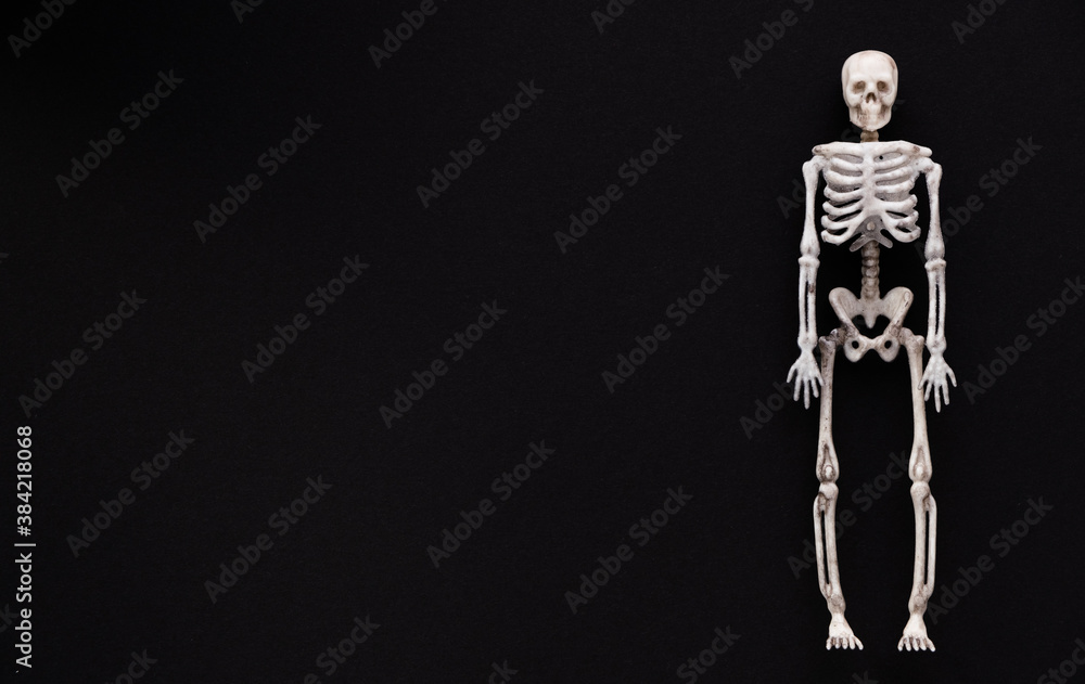 skeleton on black background with place for text, halloween holiday skeleton on black background with place for text, halloween holiday