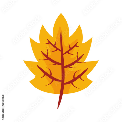 autum webbed leaf flat style icon