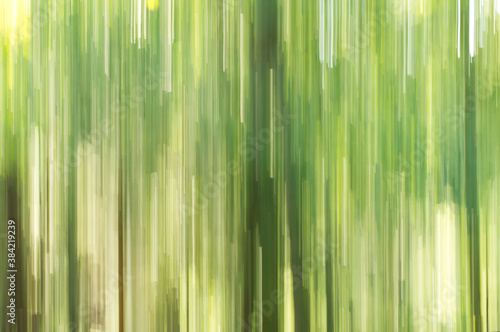 Hintergrund abstrakt grün vertikale Linien Wald