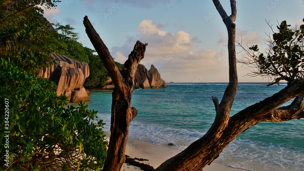 Stunning view of popular beach Source d'Argent, La Digue island, Seychelles with branches of dead tree and granite rock formations illuminated in evening light.