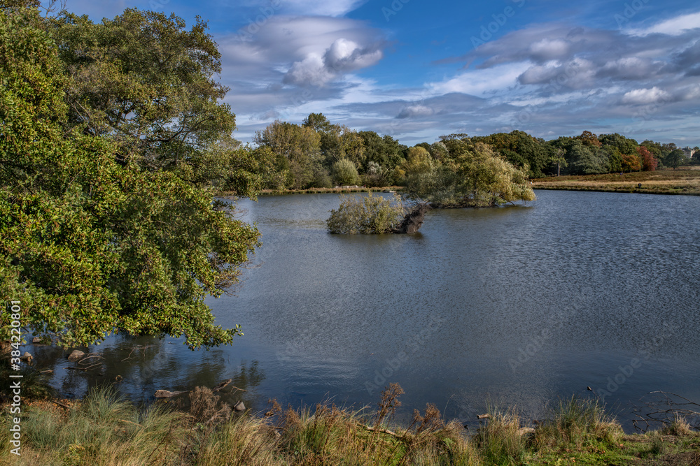 Pen Ponds in Autumn